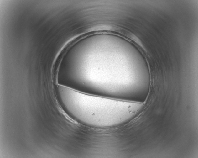 X0000066931116200603240901