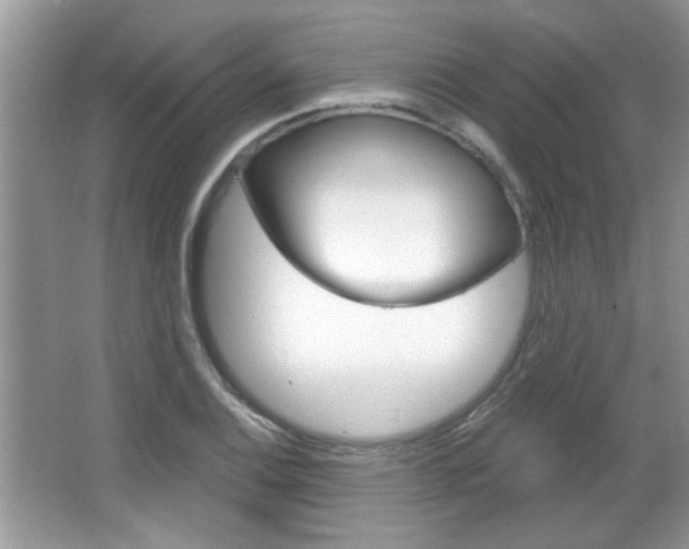 X0000066931124200603240901