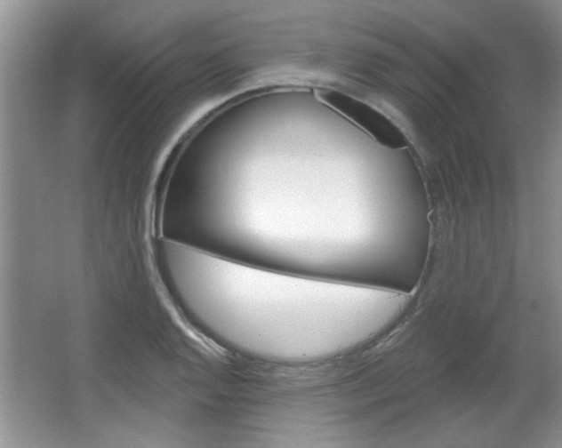 X0000066931128200603240902