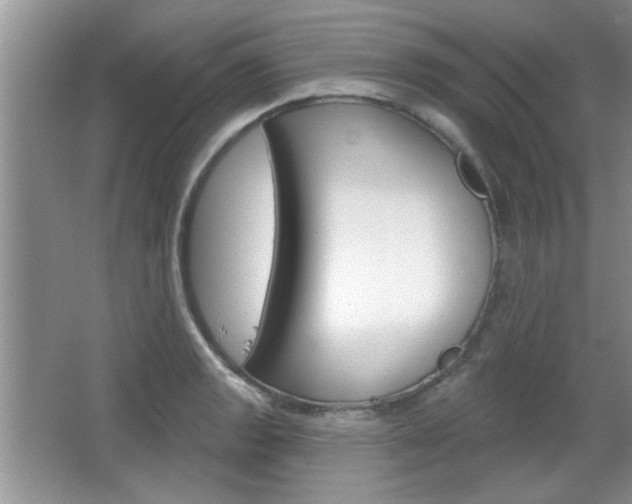 X0000066931133200603240902