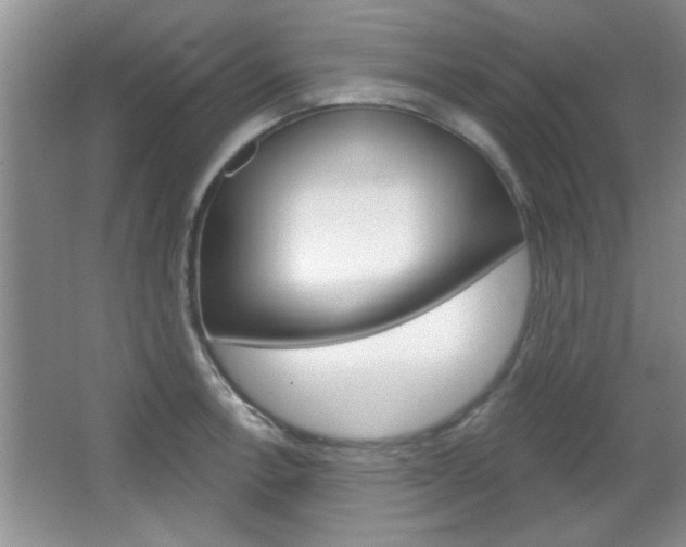X0000066931138200603240902