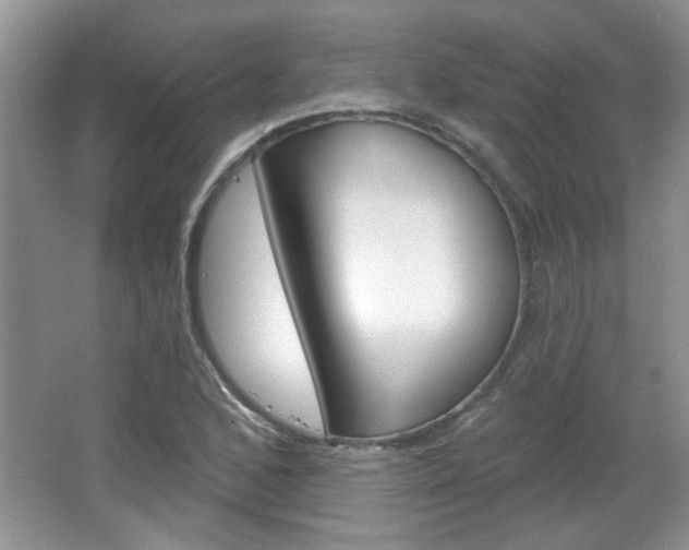 X0000066931168200603240901