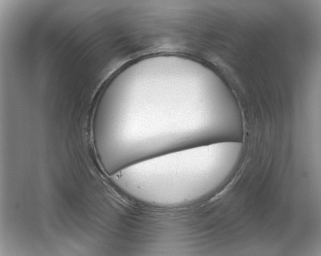 X0000066931170200603240901