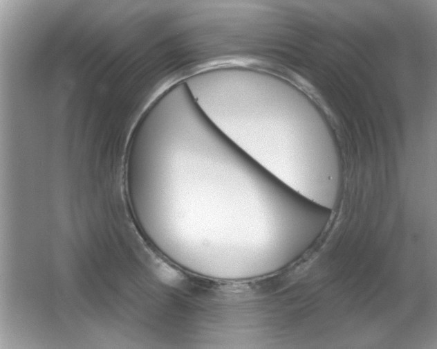 X0000066931186200603240901
