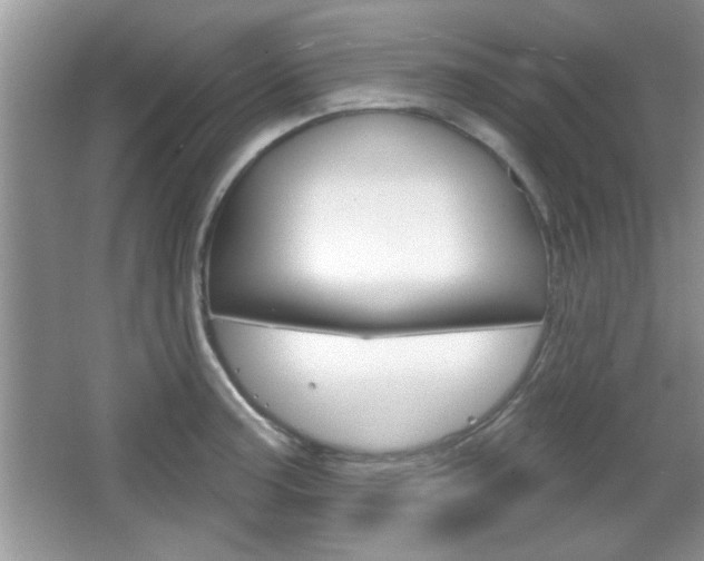 X0000066931187200603240901