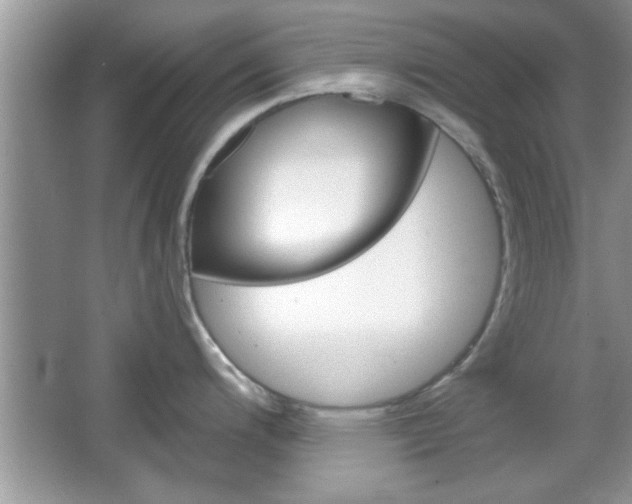 X0000066931200200603240900