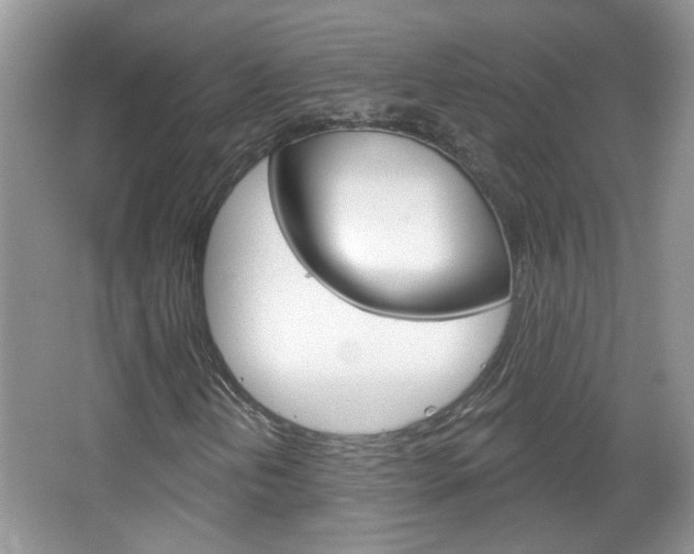 X0000066931202200603240900