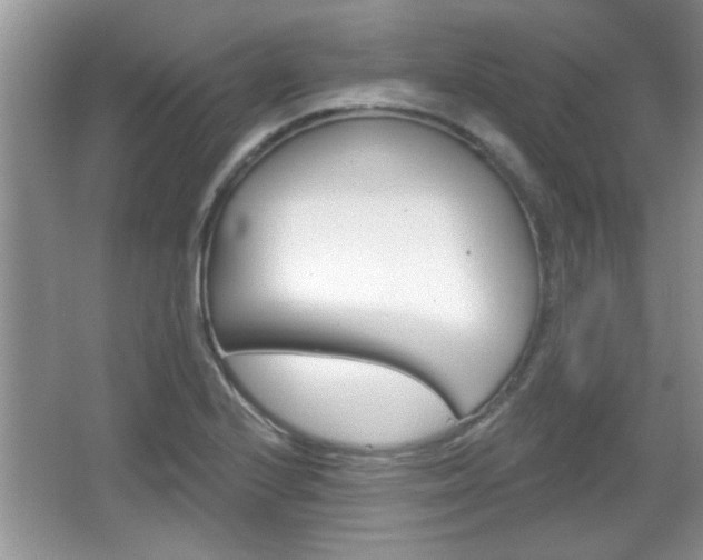 X0000066931224200603240900