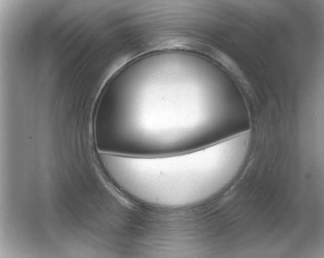 X0000066931234200603240900