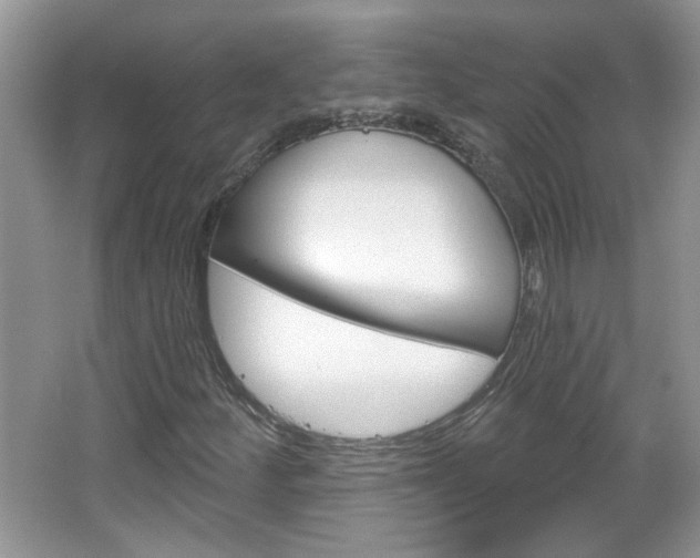 X0000066931252200603240859