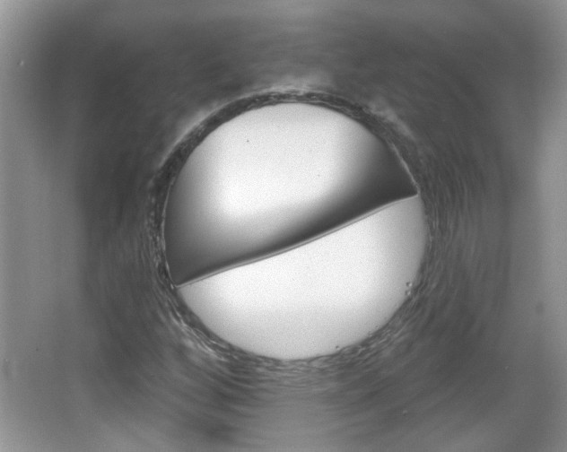 X0000066931256200603240859