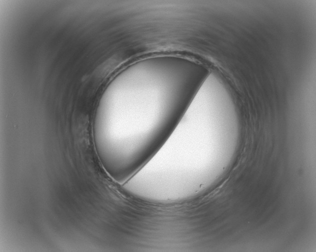 X0000066931265200603240859