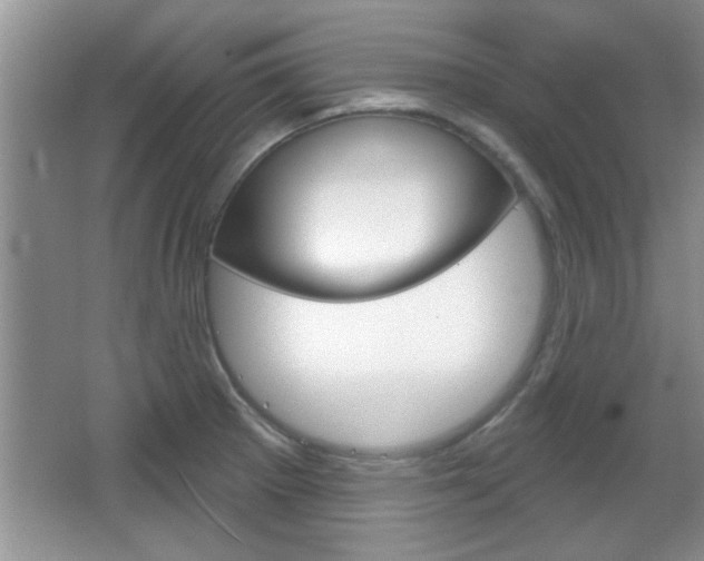 X0000066931281200603240859