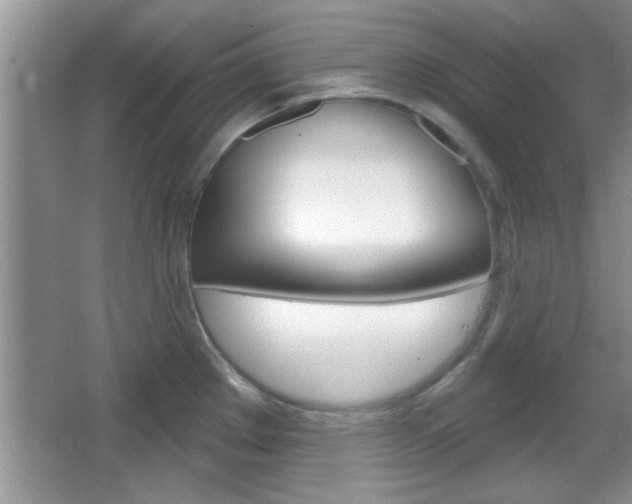 X0000066931289200603240859
