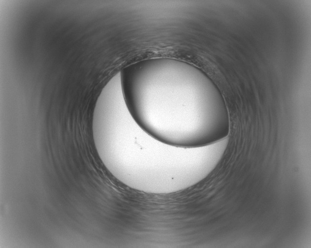 X0000066931298200603240858
