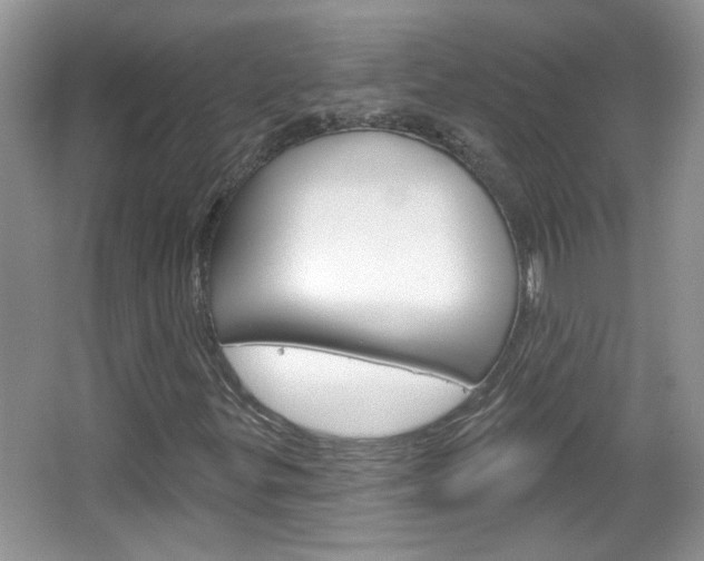 X0000066931299200603240858