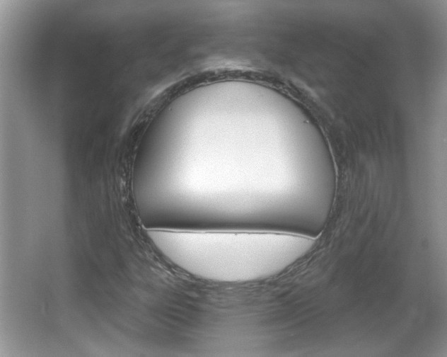 X0000066931303200603240858
