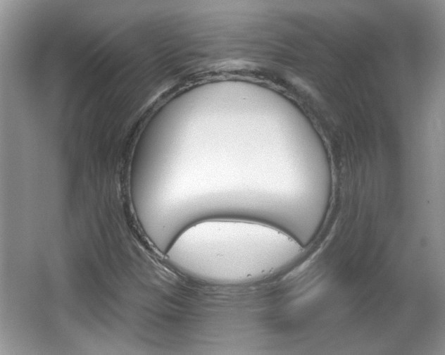 X0000066931305200603240858