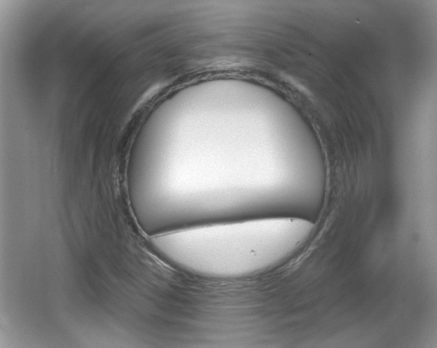 X0000066931306200603240858