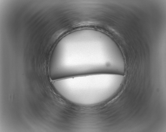 X0000066931313200603240858