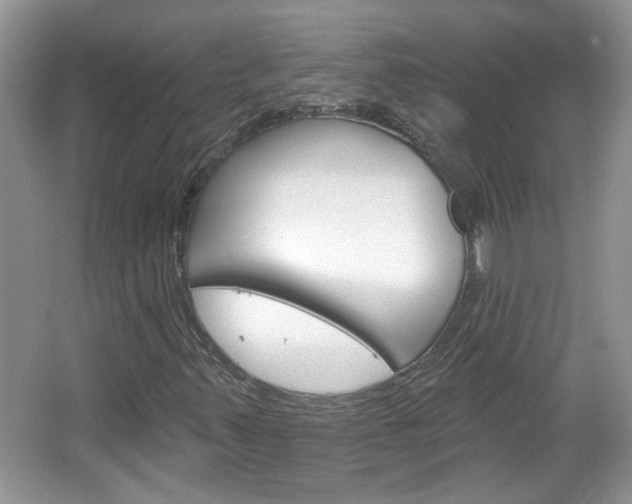 X0000066931347200603240858