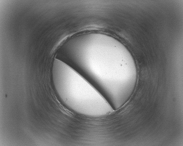 X0000066931355200603240858