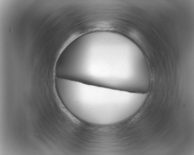 X0000066931378200603240857