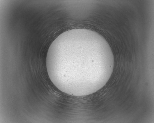 X0000066931394200603240856