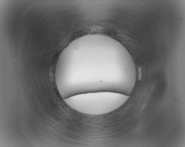 X0000066931395200603240856