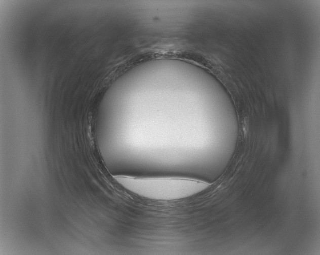 X0000066931396200603240856