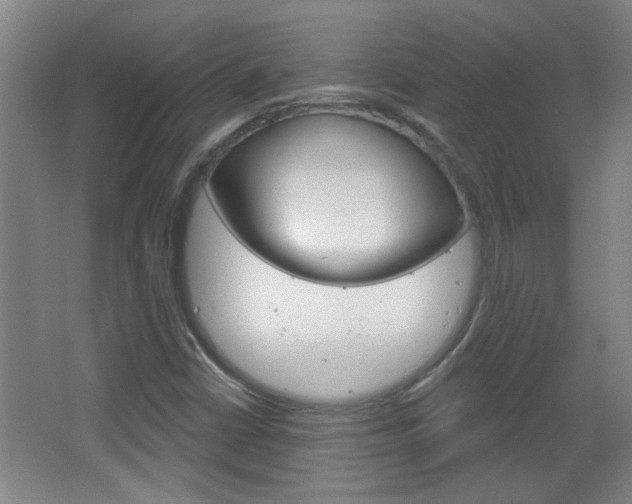 X0000066931402200603240856