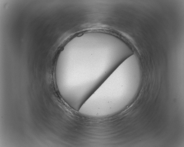 X0000066931407200603240857