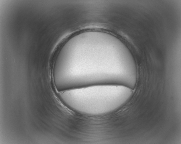 X0000066931408200603240857