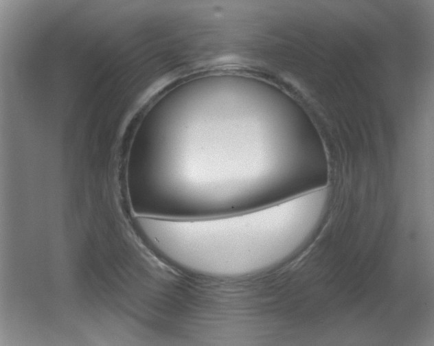 X0000066931410200603240857