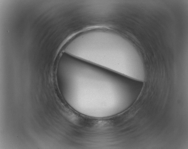 X0000066931412200603240857