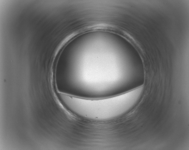 X0000066931418200603240857