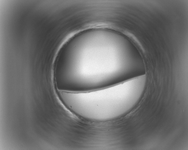 X0000066931424200603240857