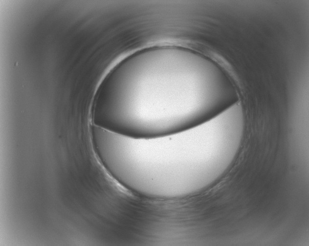 X0000066931428200603240857