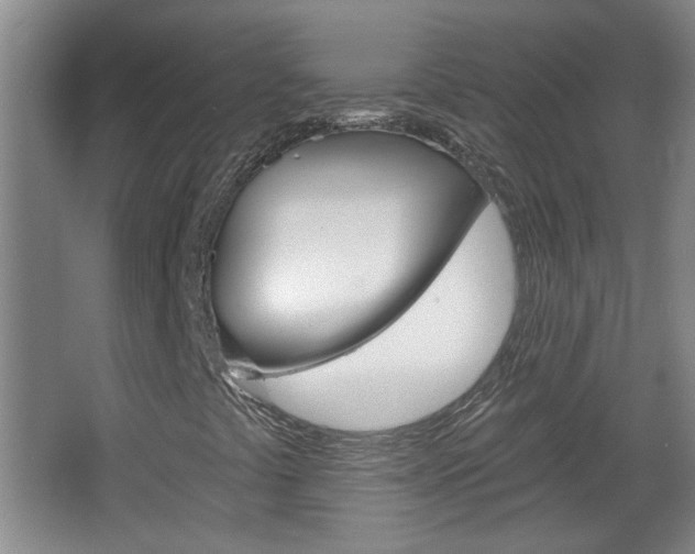 X0000066931441200603240856