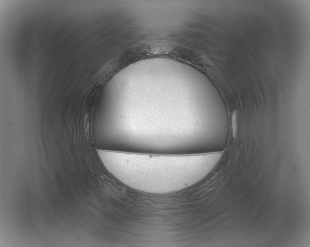 X0000066931443200603240856