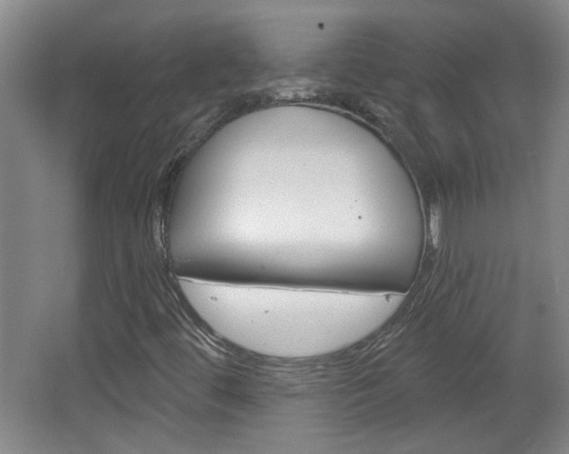 X0000066931444200603240856