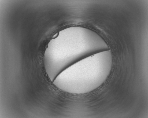 X0000066931447200603240856