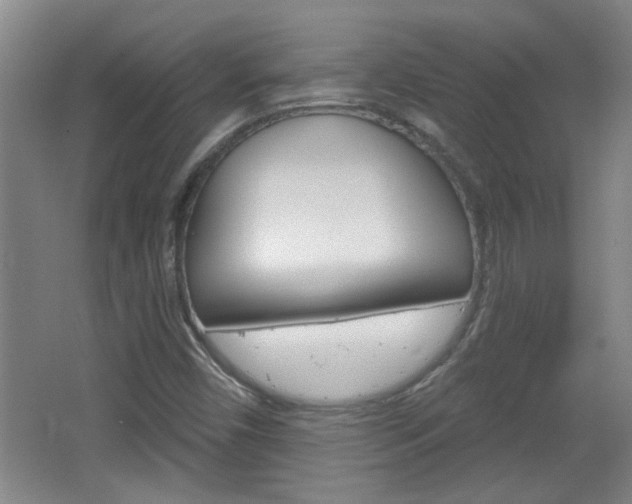 X0000066931450200603240856