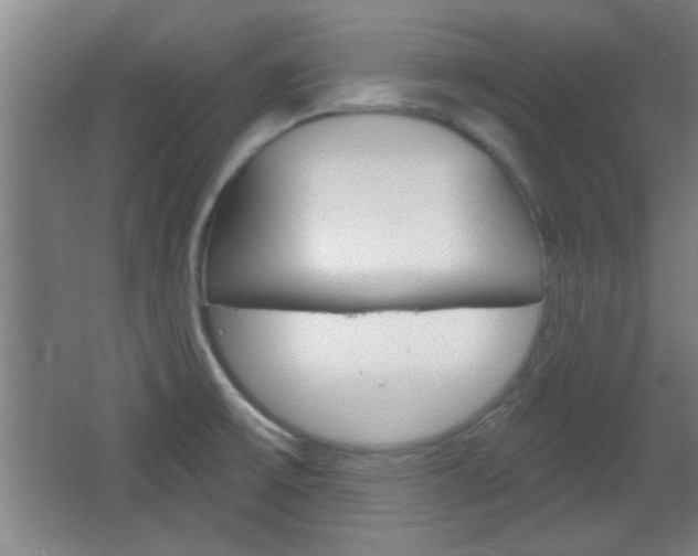 X0000066931475200603240856