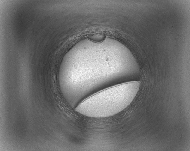 X0000066931489200603240855