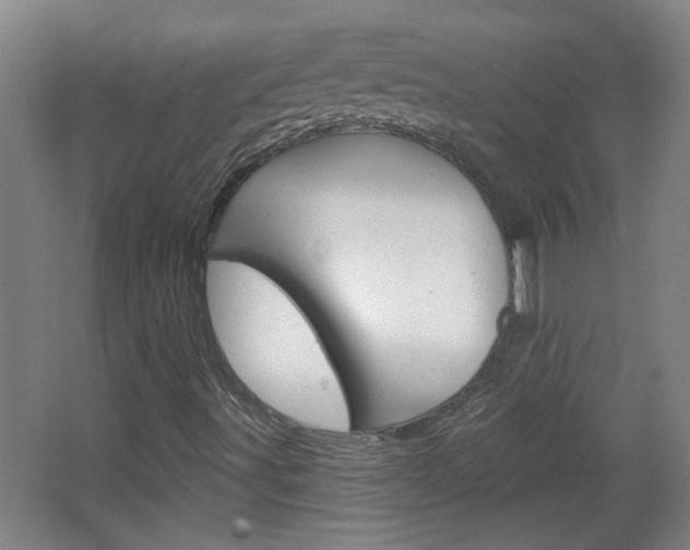 X0000066931491200603240855