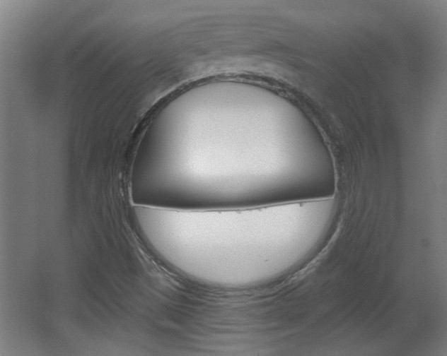 X0000066931497200603240855