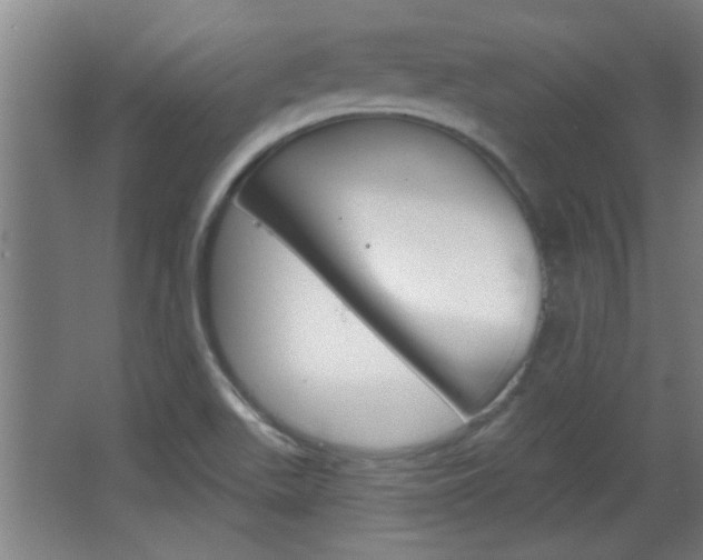 X0000066931511200603240855