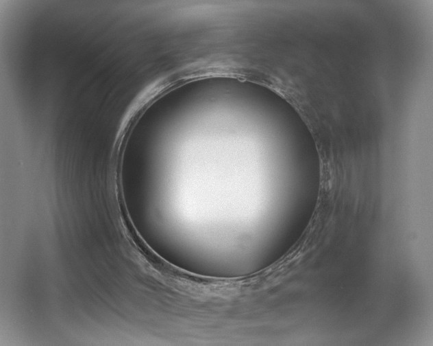 X0000066930004200603241128