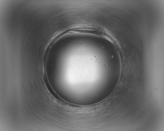X0000066930011200603241128